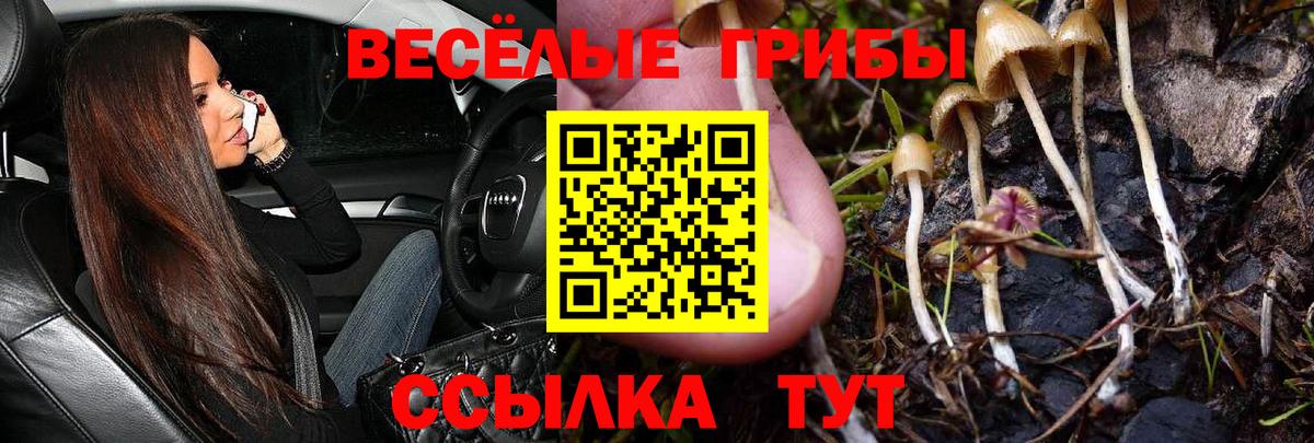 Псилоцибиновые грибы ЛСД  Вход с VPN  Псилоцибиновые грибы прущие грибы  Кушва 